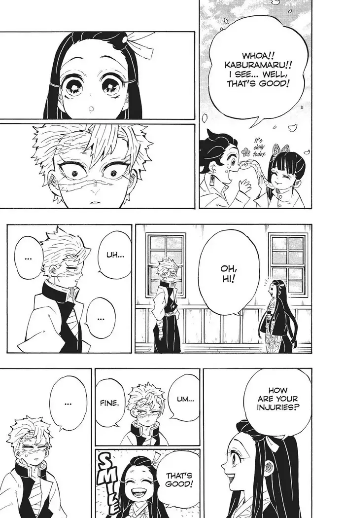 Demon Slayer Chapter 204 image 20_optimized